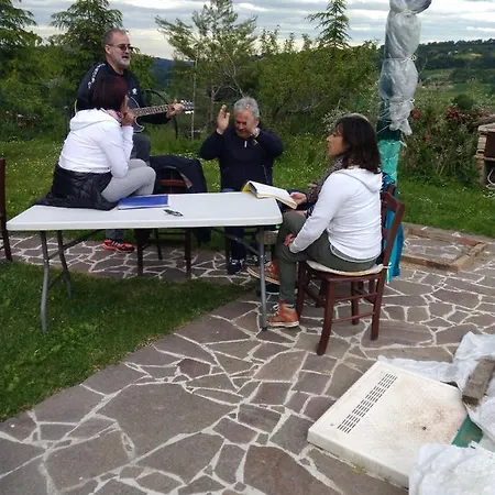 Le Rondini Di