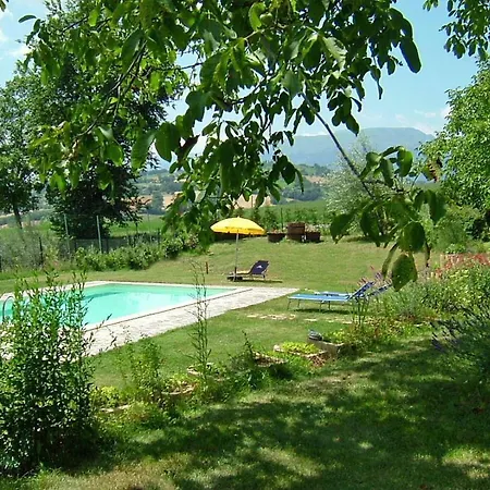 Le Rondini Di *