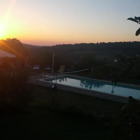 Le Rondini Di *